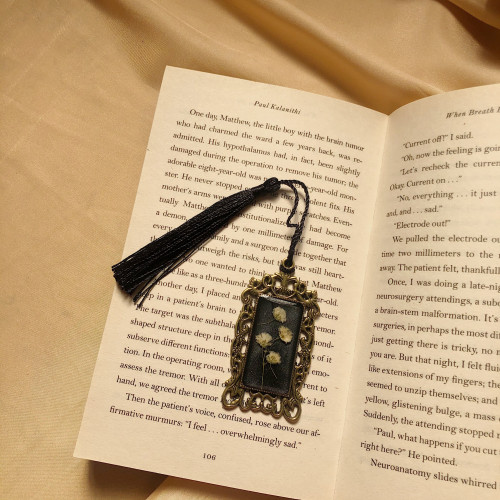 فاصل كتاب لوحة الأقحوان