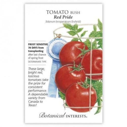 بذور طماطم الكبرياء الأحمر - Red Pride Bush Tomato seeds