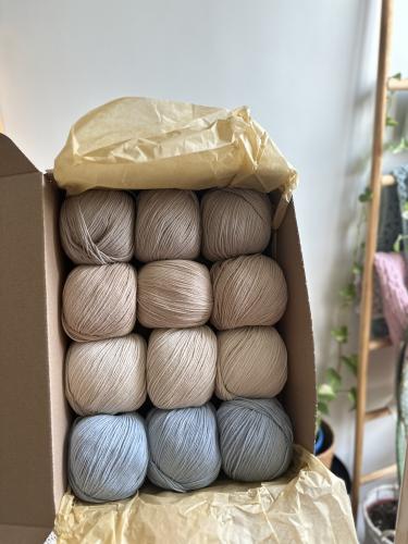 بوكس خيوط Alara