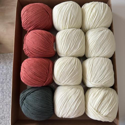 تنسيق مناسب لبطانية الورد