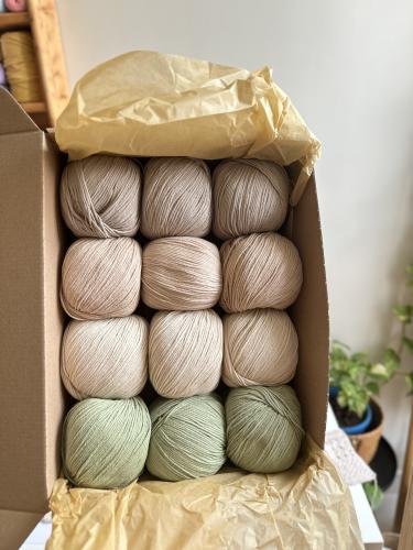 بوكس خيوط Alara