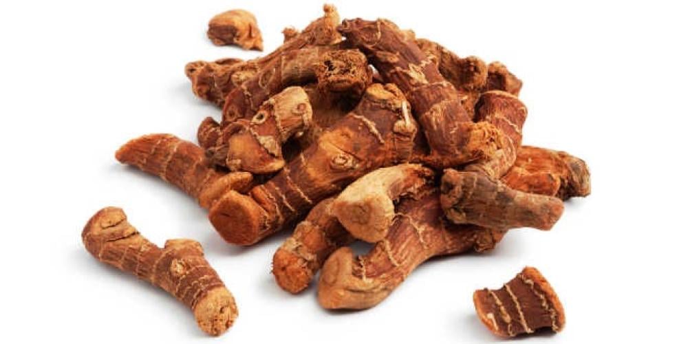 Alpinia(خولنجان) معلومات و فوائد