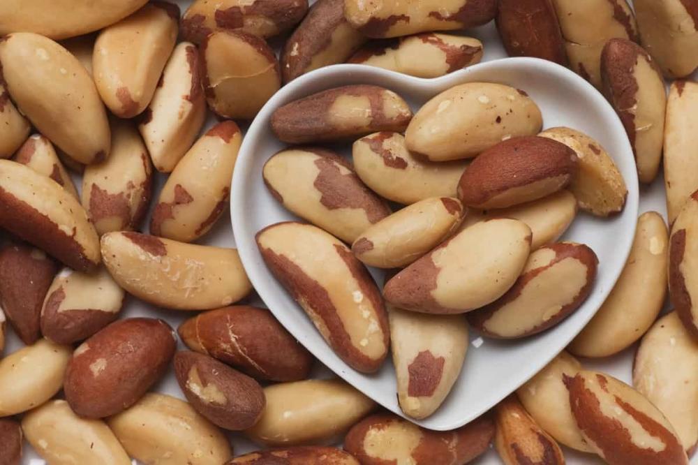 اللوز البرازيلي Brazil nut