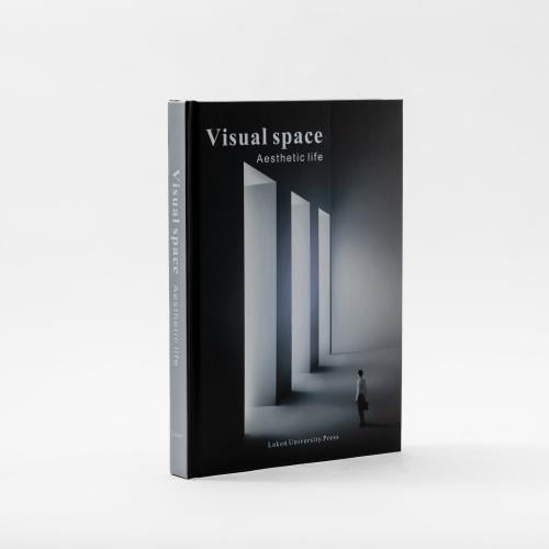كتاب Visual Space