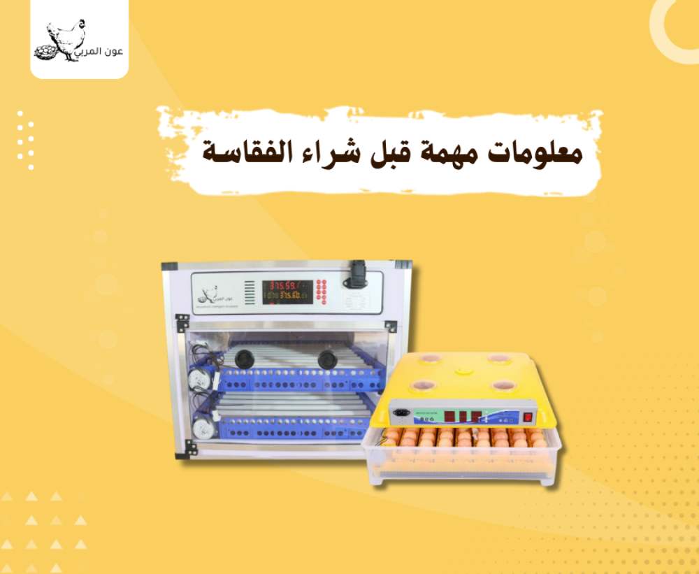 معلومات مهمة قبل شراء الفقاسة