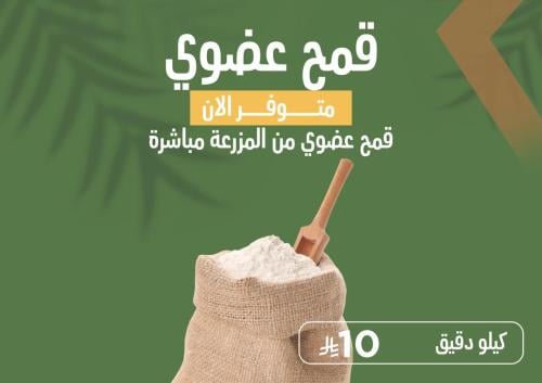 5 كيلو دقيق عضوي بر