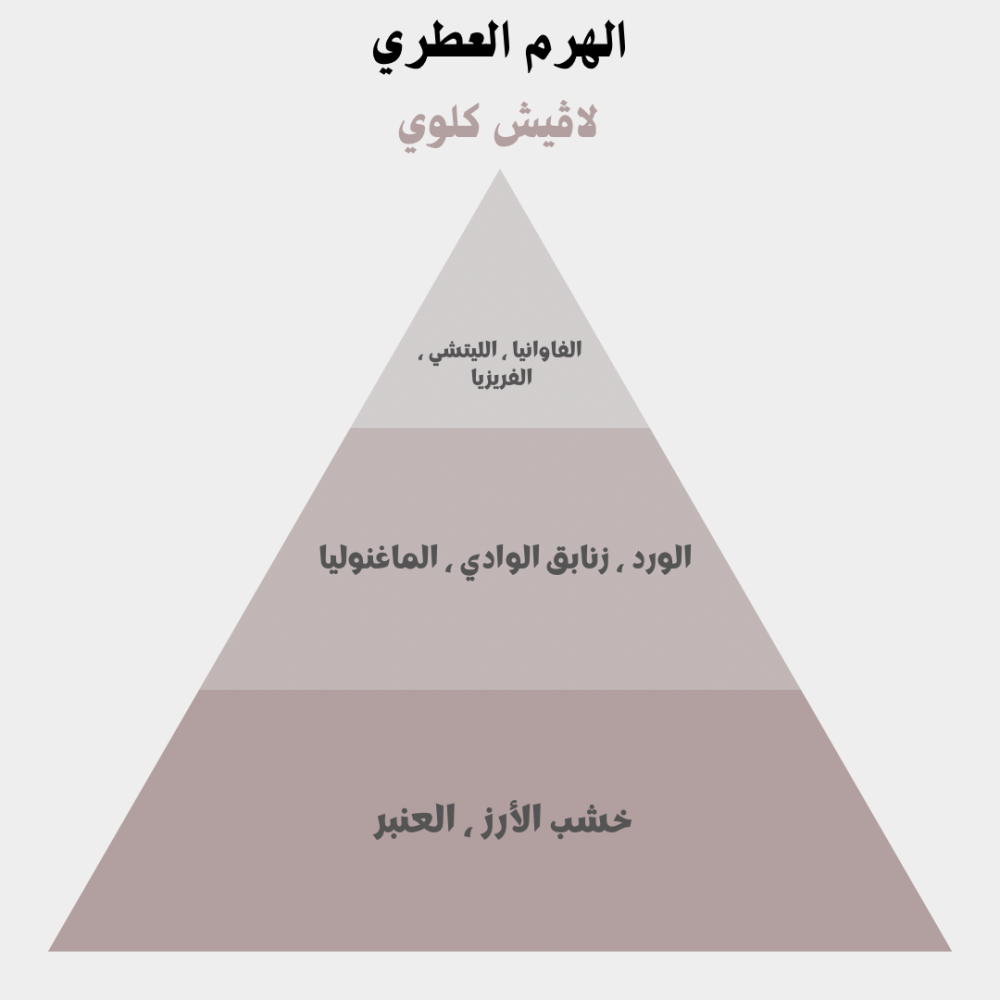 لاڤيش كلوي