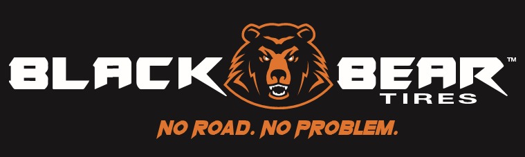 Black Bear