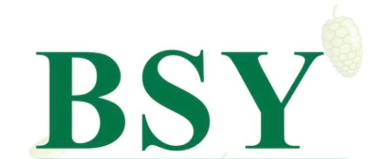 BSY