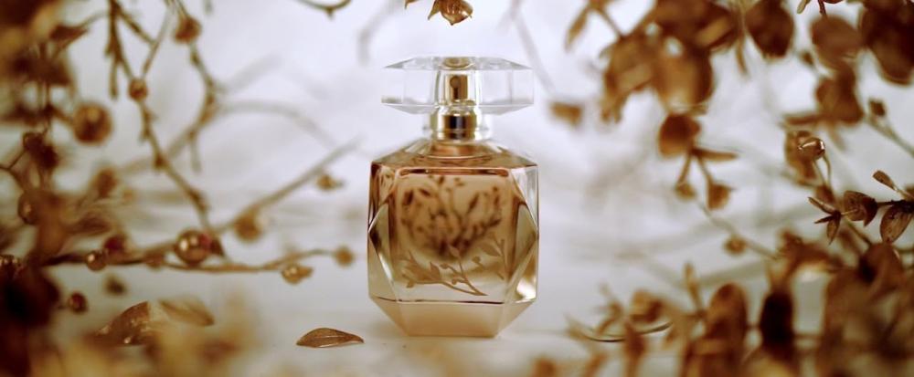 أشهر أنواع العطور من متجر المغربي للعود