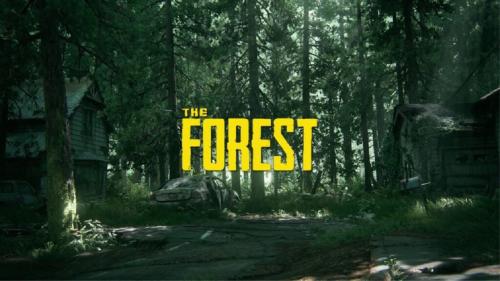 بكج the forest 1+2