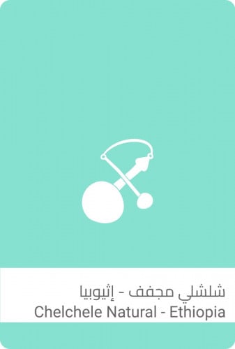 محمصة سلالات - شلشلي مجفف أثيوبيا-250g
