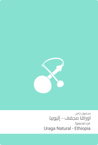 محمصة سلالات -اوراقا مجفف - اثيوبيا -100g