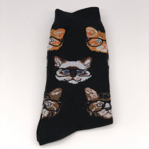 شراب القطط المثقفه