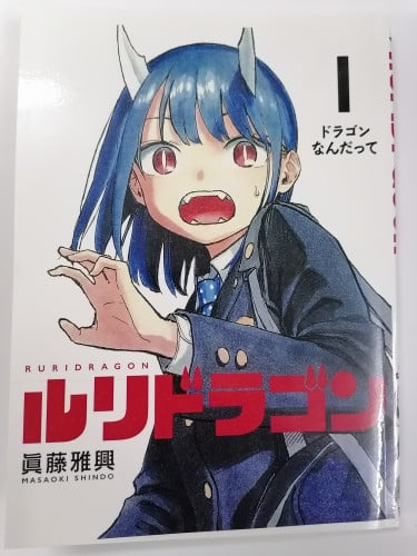Ruri Dragon Vol.1