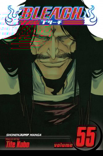 Bleach Vol.55