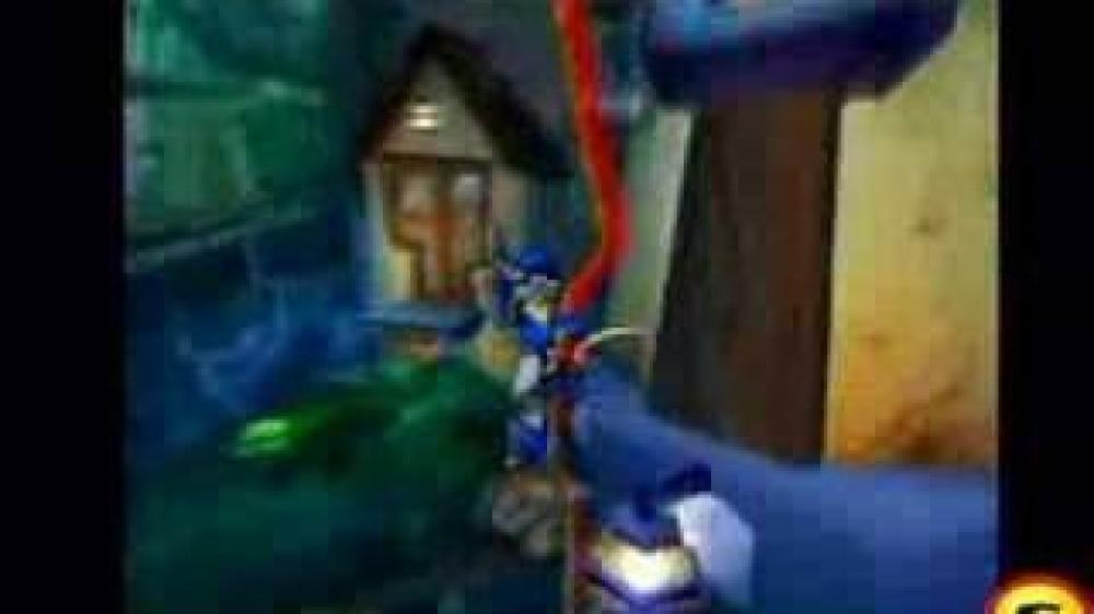 Sly Raccoon (PAL)
