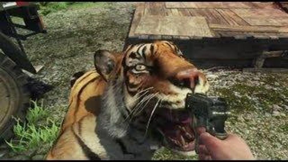 Far Cry 3 (PAL)
