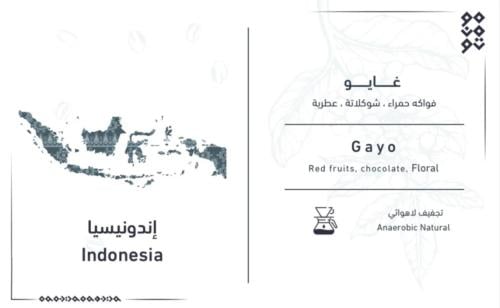 اندونيسيا غايو - Indonesia Gayo