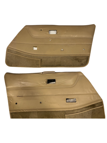 ديكورات ابواب بيج ZX280