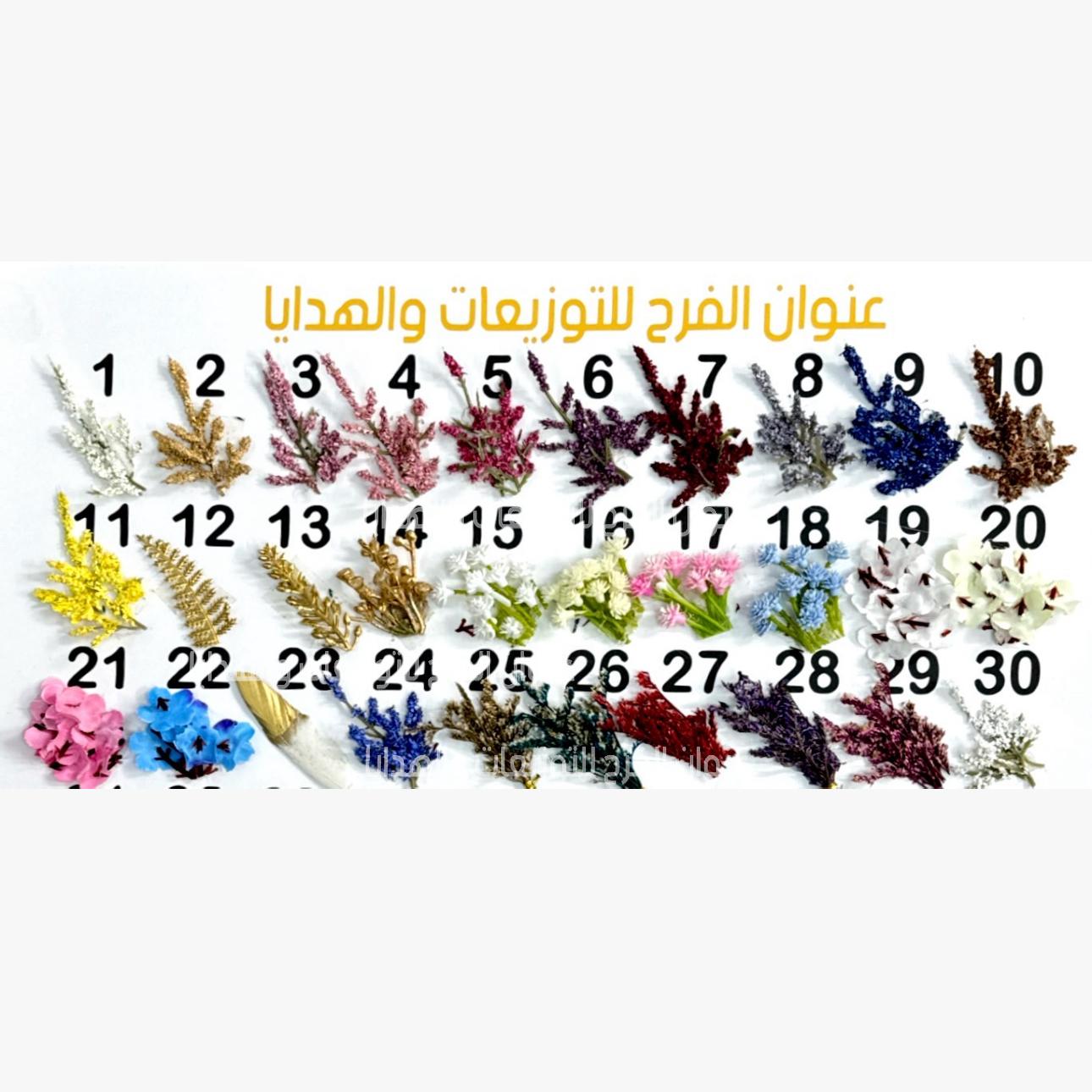 عطور ديور مع الشريطه مع الاسم ١٢حبه