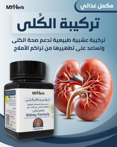 تركيبة الكُلى