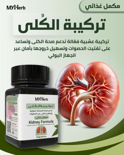 تركيبة الكُلى