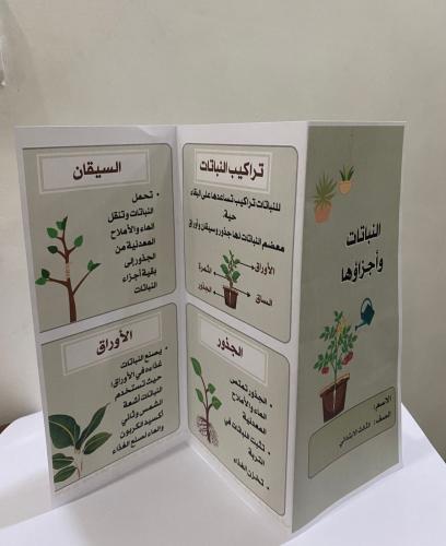 مطوية علوم ثالث (النباتات وأجزاؤها)