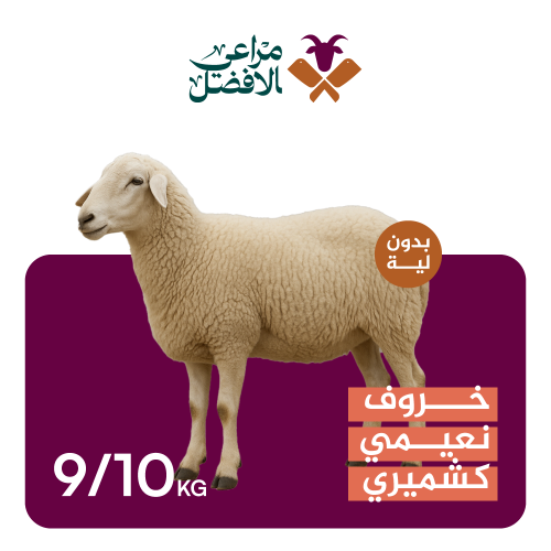 خروف نعيمي كشميري بدون لية 11-10 كيلو