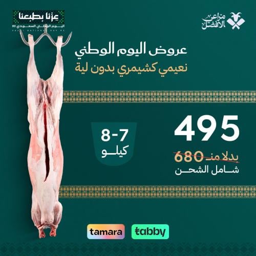 خروف نعيمي كشميري بدون لية 8-7 كيلو