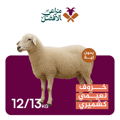 خروف نعيمي كشميري بدون لية 13-12 كيلو