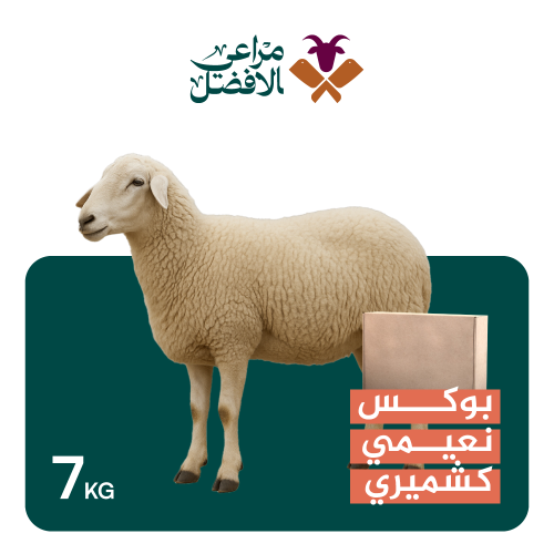 بوكس نعيمي كشميري 7 كيلو