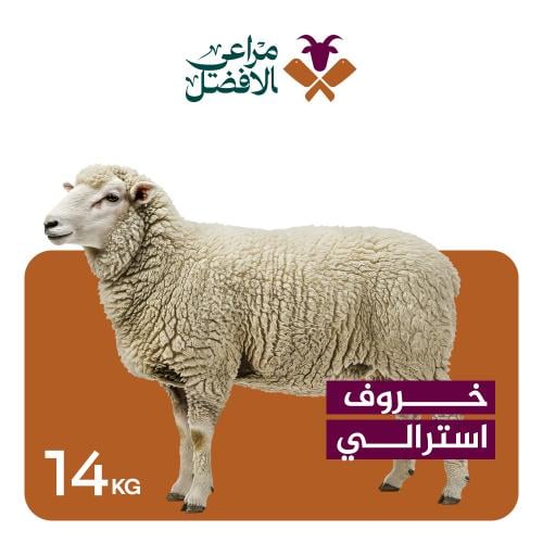 خروف استرالي هرفي 14 كيلو