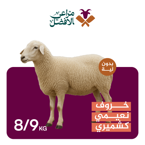 خروف نعيمي كشميري بدون لية 9-8 كيلو