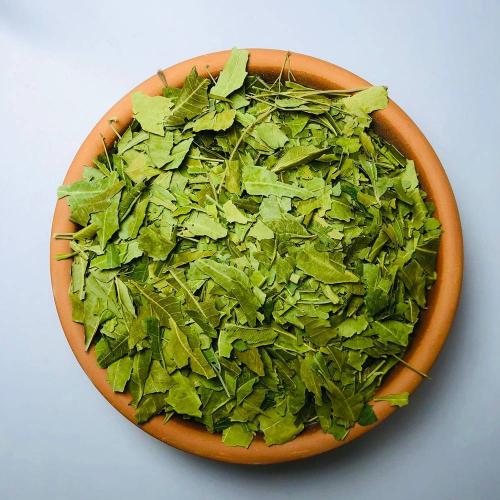 عشبة المورينجا