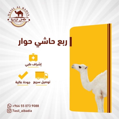 ربع حاشي حوار