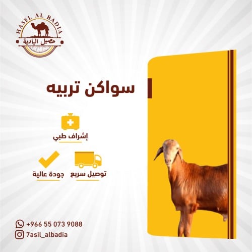 سواكن تربيه
