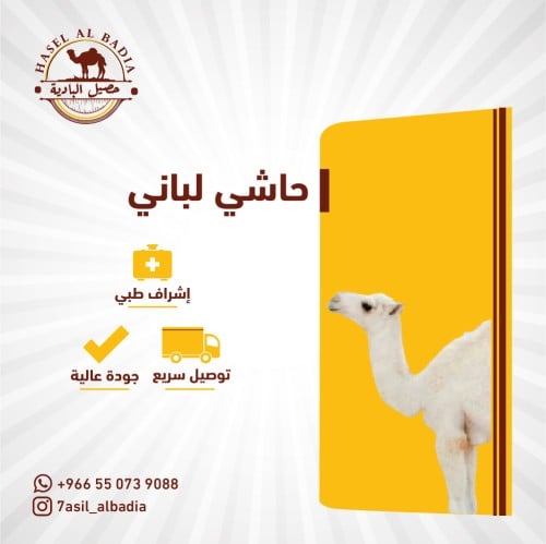 حاشي لباني