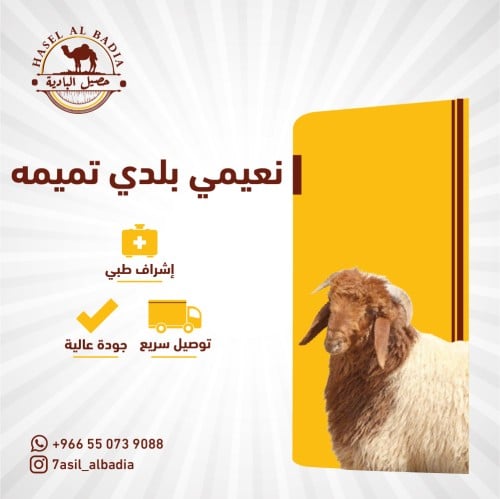 نعيمي بلدي جبر