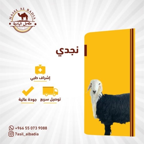 نجدي