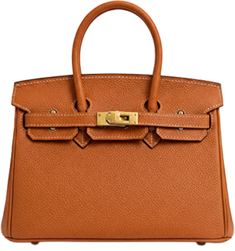 هيرمز بيركن - Hermès Berkin 25