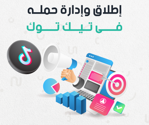 إدارة الحملة الترويجية على تيك توك