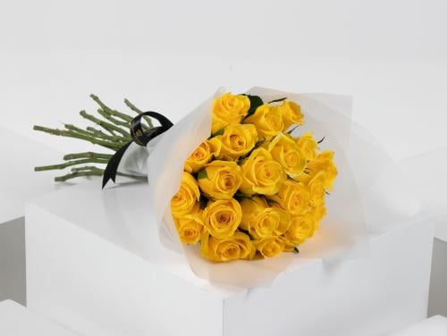 جوري اصفر | 20