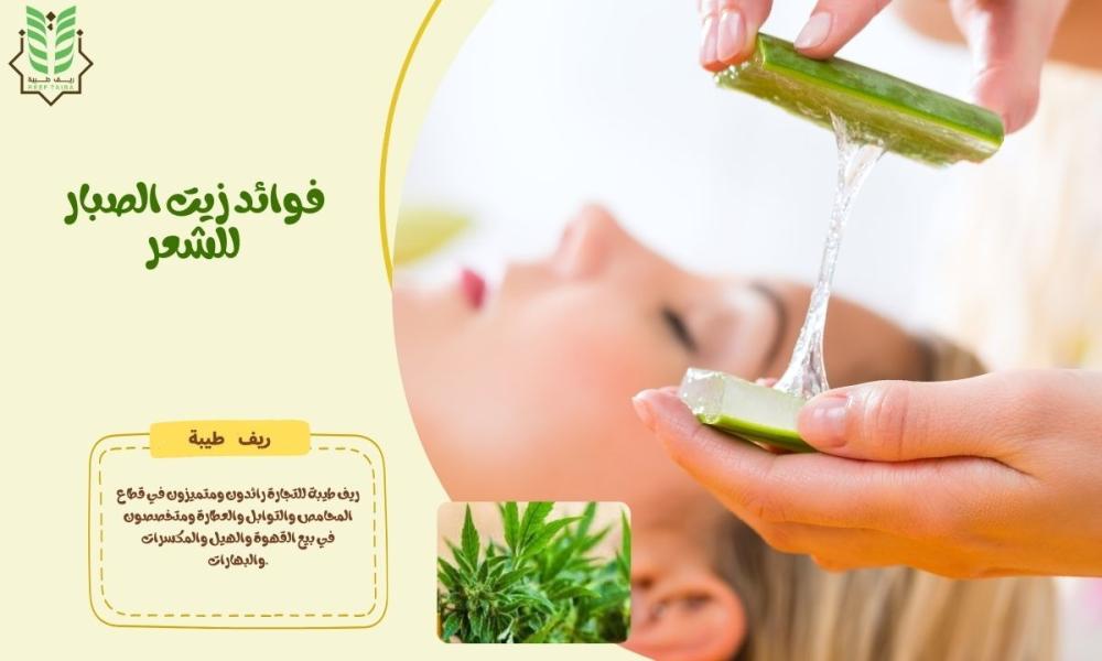 فوائد زيت الصبار للشعر: الحل السحري لمشاكل شعرك؟