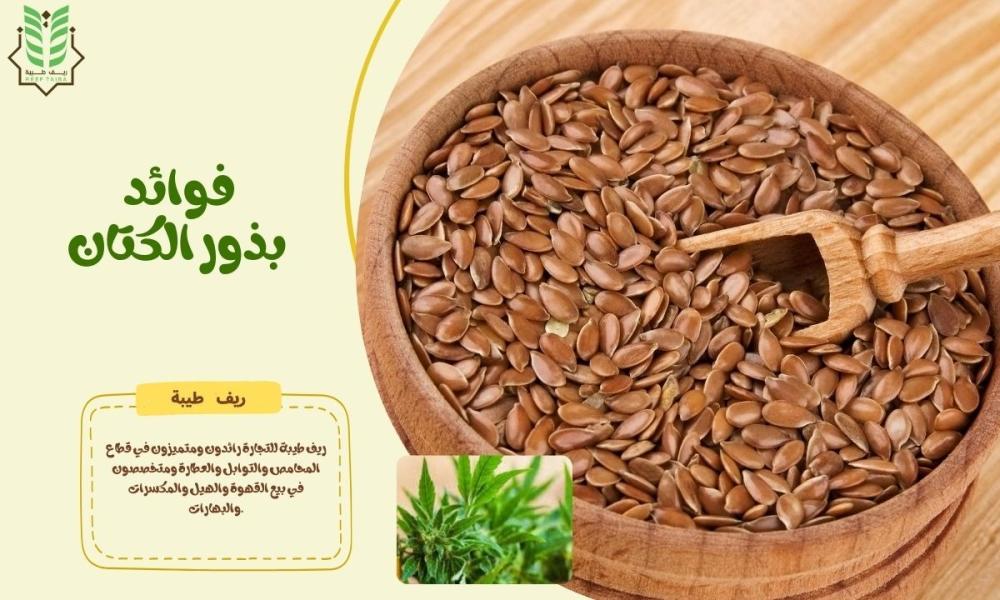 فوائد بذور الكتان | كنز طبيعي لصحة القلب والهضم والشعر