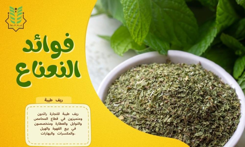 فوائد النعناع: الاستخدامات والاضرار ونصائح