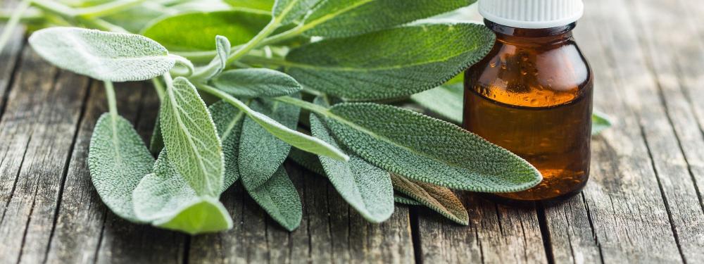 فوائد الميرمية