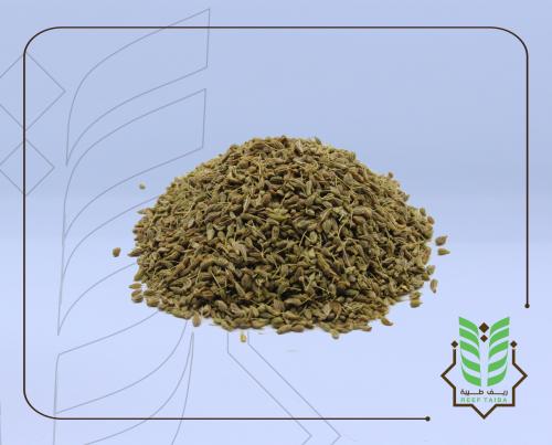 يانسون