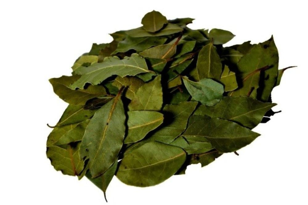 فوائد سنا مكي