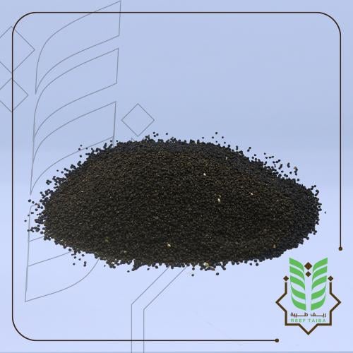 بذور الرجلة .